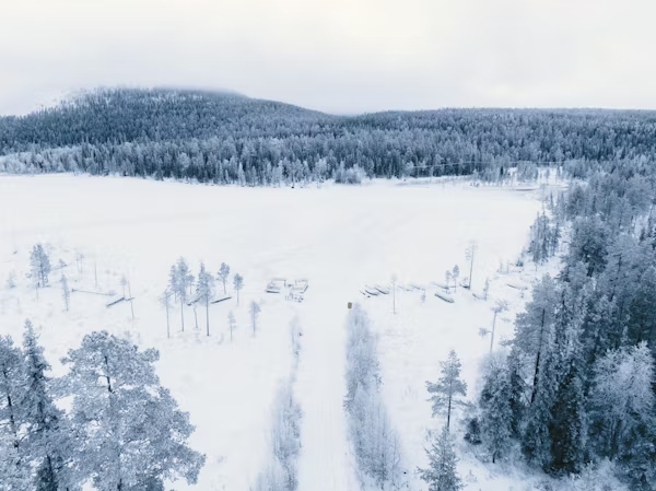Giniä
